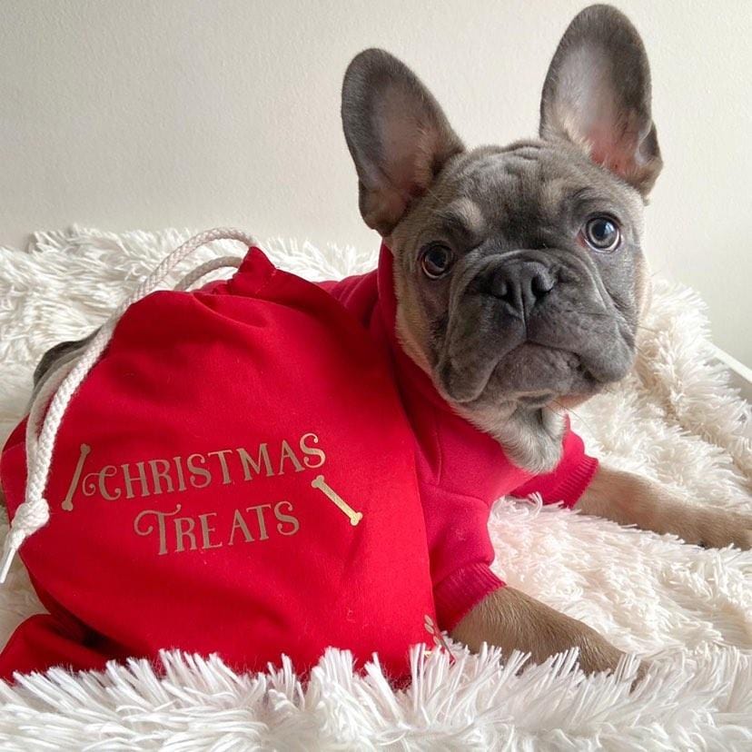 Christmas Dog's Treat Bag from Santa PawsKiddio